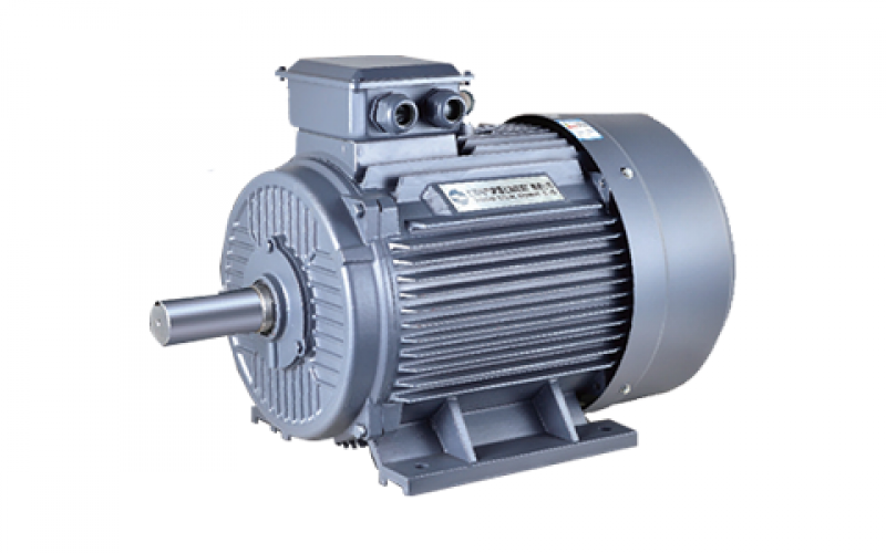 YE5 High efficiency motor